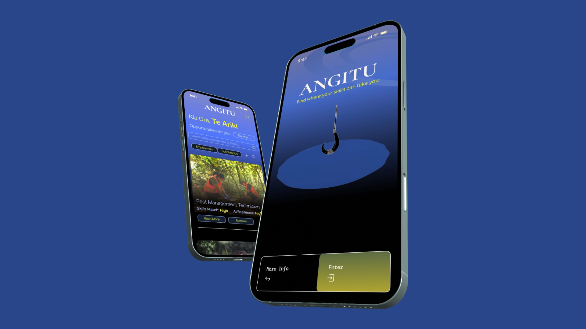Māori Futures UI case study